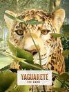 Yaguaret�: The Game para Ordenador