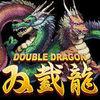 Double Dragon para Android