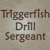 Triggerfish Drill Sergeant para Ordenador