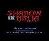 Shadow of the Ninja CV para Nintendo 3DS