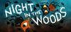 Night in the Woods para Ordenador