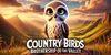 Country Birds: Brothership of the Valley para Nintendo Switch