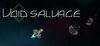Void Salvage para Ordenador