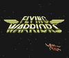 Flying Warriors CV para Wii U
