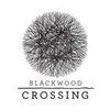 Blackwood Crossing para PlayStation 4