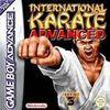 International Karate para Game Boy Advance