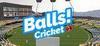 Balls! Virtual Reality Cricket para Ordenador