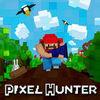 Pixel Hunter eSHop para Nintendo 3DS