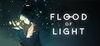 Flood of Light para Ordenador
