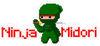 Ninja Midori para Ordenador