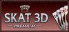 Skat 3D Premium para Ordenador
