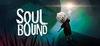 SOULBOUND (2021) para Ordenador