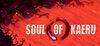 Soul of Kaeru para Ordenador