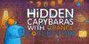 Hidden Capybaras with Orange: Collection para Nintendo Switch