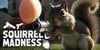 Squirrel Madness para Nintendo Switch