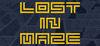 Lost In Maze para Ordenador
