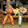 NeoGeo Art of Fighting 2 para Nintendo Switch