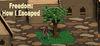 Freedom: How I Escaped para Ordenador
