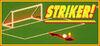 STRIKER! para Ordenador