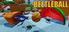 BeetleBall para Ordenador