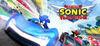 Team Sonic Racing para Ordenador