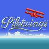 Pilotwings CV para Wii