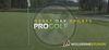 Draft Day Sports: Pro Golf para Ordenador