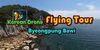 Korean Drone Flying Tour Byeongpung Bawi para Nintendo Switch