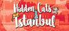 Hidden Cats in Istanbul para Ordenador