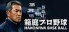 Hakoniwa Base Ball para PC