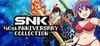 SNK 40th Anniversary Collection para Ordenador