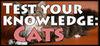 Test your knowledge: Cats para Ordenador
