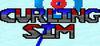 Curling Simulator para Ordenador