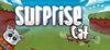 Surprise Cat para Ordenador