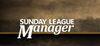 Sunday League Manager: Horse & Spoon para Ordenador