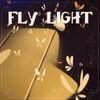 Fly Light para PlayStation 4