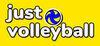 just volleyball para PC
