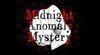 Midnight Anomaly Mystery para Nintendo Switch