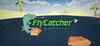 FlyCatcher para Ordenador