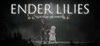 Ender Lilies: Quietus of the Knights para Ordenador