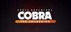 Space Adventure Cobra - The Awakening para Ordenador