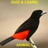 Quiz & Learn: Animals para PlayStation 4