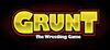 Grunt - The Wrestling Game para Ordenador