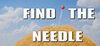 Find The Needle para PC