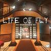 Life of Fly para Nintendo Switch
