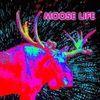 Moose Life para PlayStation 4