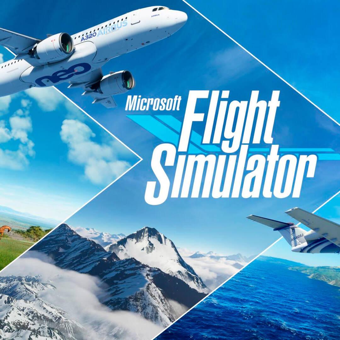 Este equipo para jugar a Microsoft Flight Simulator es más caro que una  avioneta - Vandal