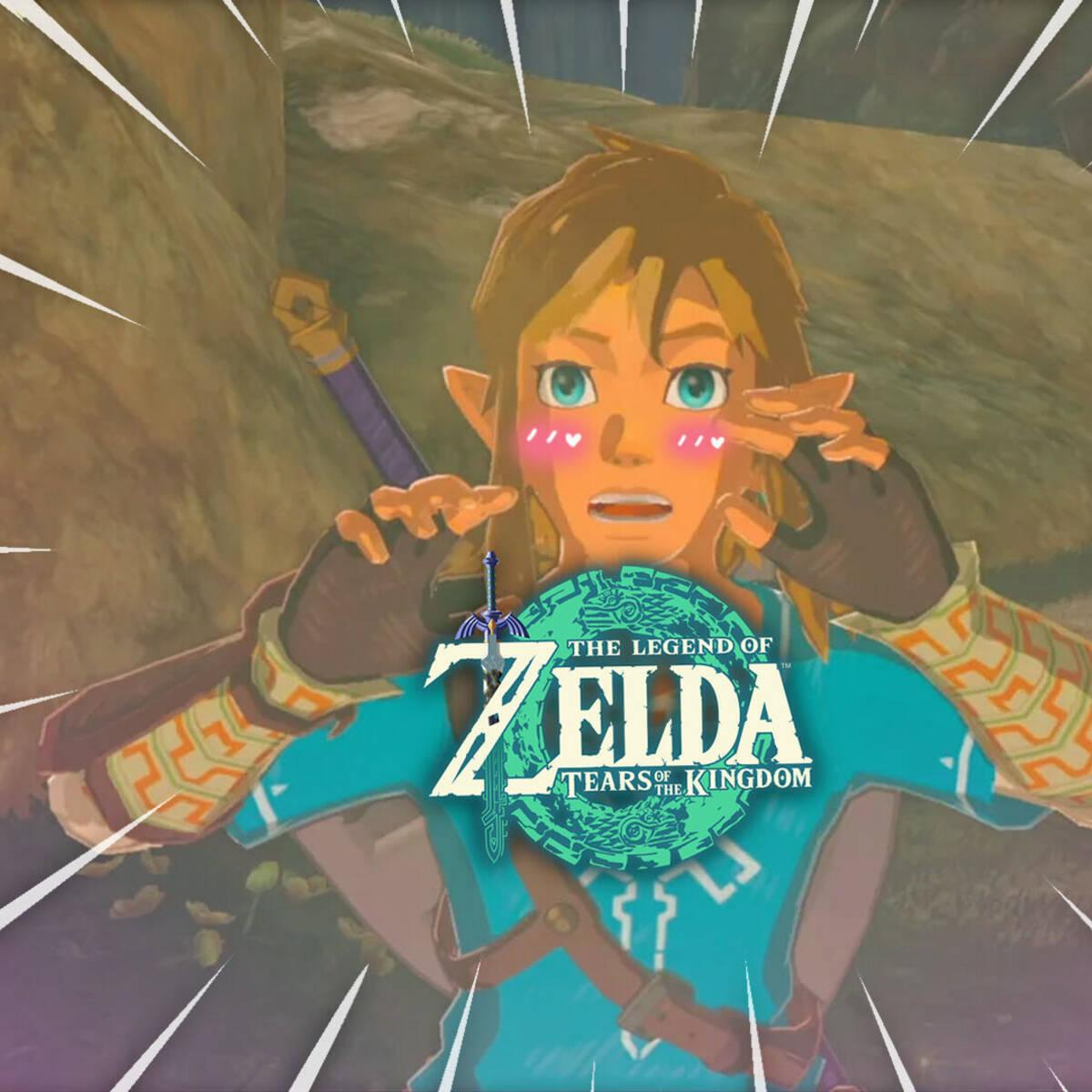 Un vídeo de Zelda Tears of the Kingdom se hace viral por mostrar las partes  íntimas de Link - Vandal