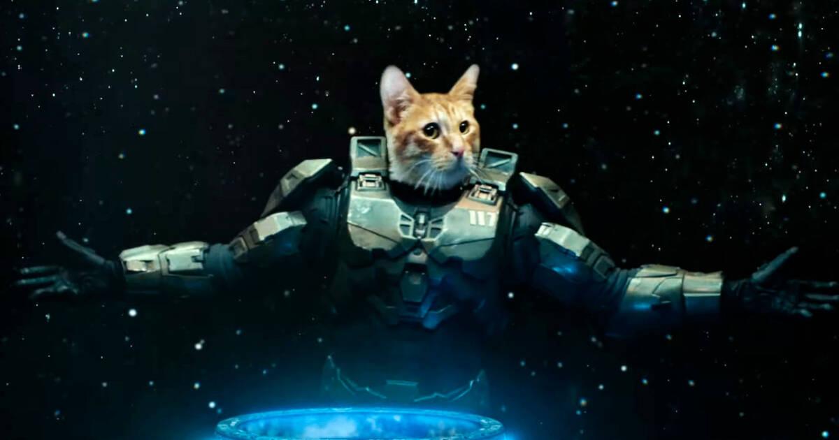 Taika Waititi dirige el nuevo anuncio de Xbox Series X con un gato como Jefe Maestro