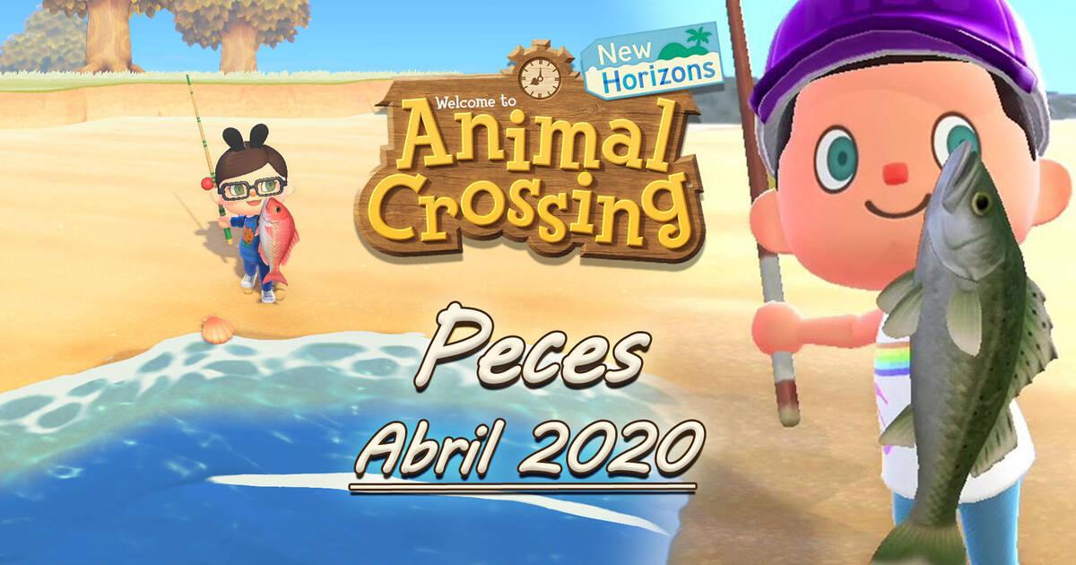 Animal Crossing New Horizons Todos Los Peces Disponibles En